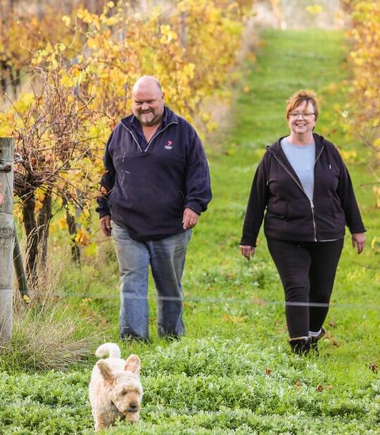 UNICORN YEAR: Mountainside Wine owners Shane and Jane Goninon stride through a bumper crop. Picture: CONTRIBUTED