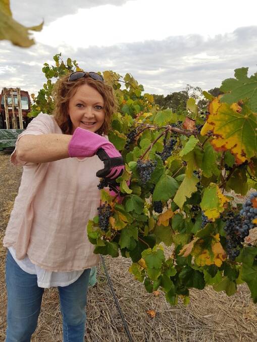 VINE MANAGEMENT: Norton Estate's Sam Spence prunes the vines, in what was a stellar year for the winey. Picture: CONTRIBUTED