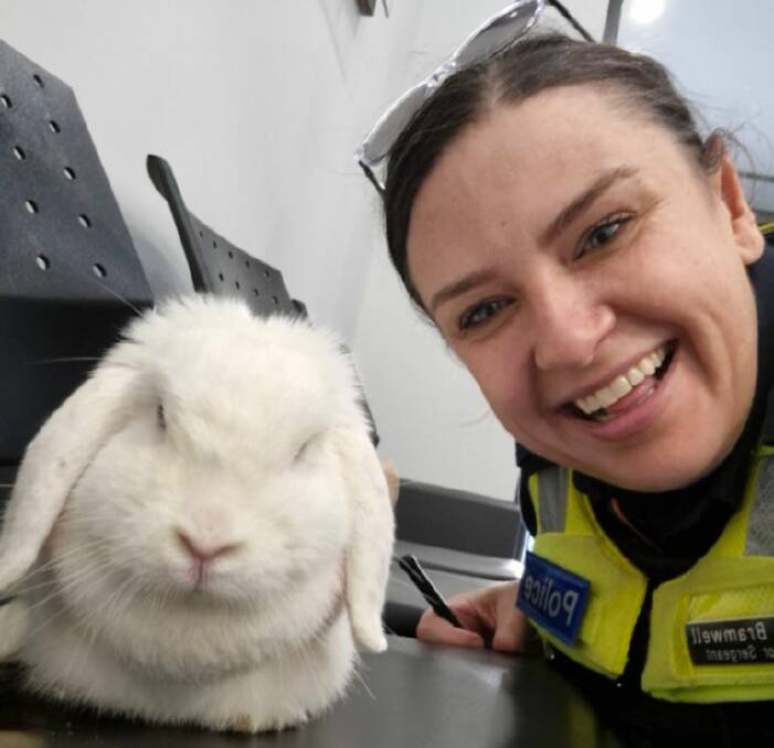 Police give easter bunny clearance to hop around the Wimmera this weekend. Picture supplied