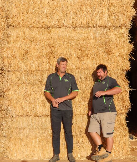 QA Hay co-owners Paul Johns and Scott Somers say they hope to help improve the export industry, with a focus on honouring contracts. Picture supplied