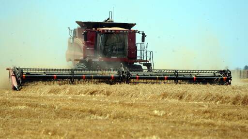 A new confidence survey shows Wimmera growers are optimistic about the future.