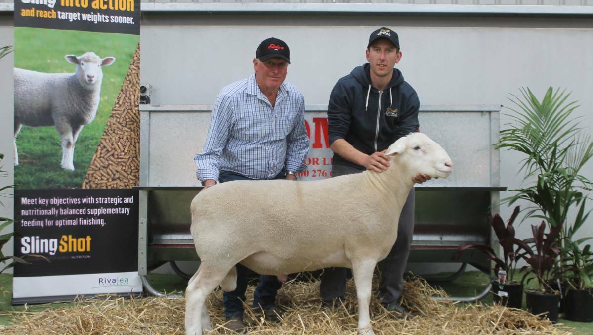 Doug Comb, Manfred stud, Hay, NSW, bought Omad stud’s supreme White Suffolk exhibit for $9500, sold by Kaniva's Damien Hawker.