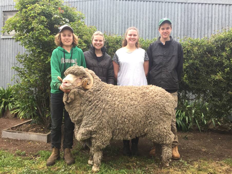  Harry Miller, Baylee Miller. Alanna Miller and Will Miller with Randall. The ram will be sold at the Glenpaen Stud annual sale, with the profits going to the Wimmera Cancer Centre. Picture: CONTRIBUTED