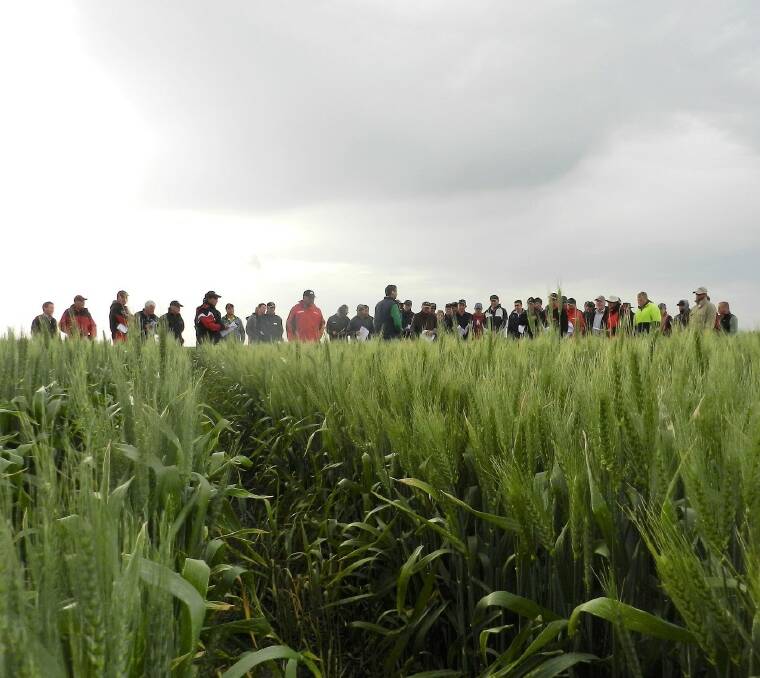 Farmers and agronomists can tour Birchip Cropping Group's Longerenong trial site on Wednesday.