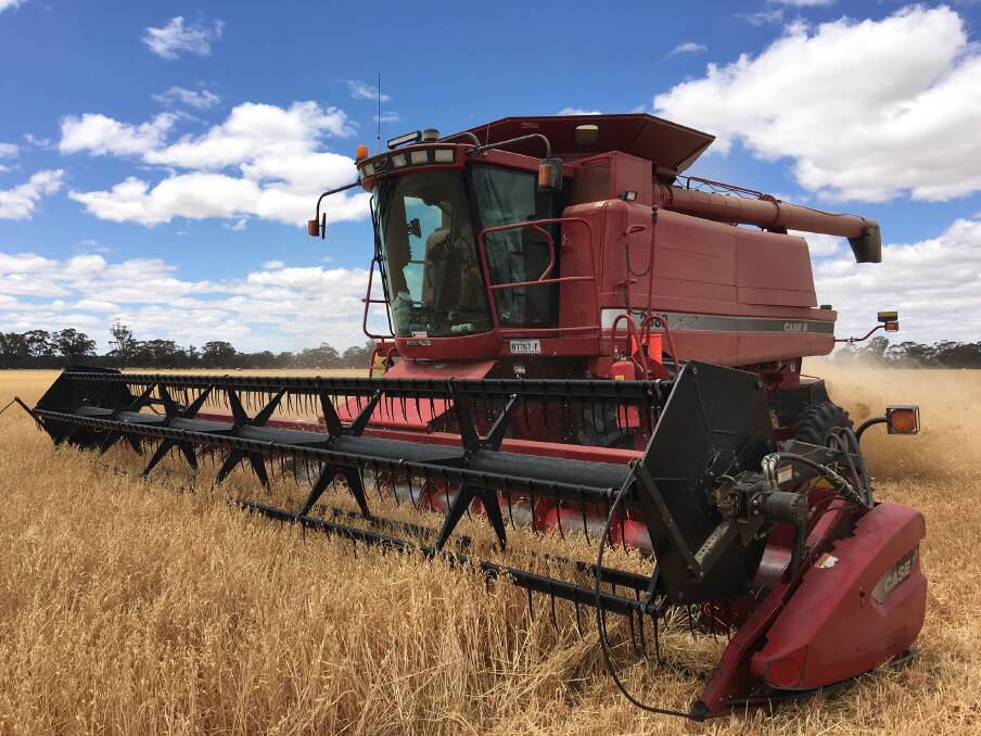 IN THE FIELD: Green Lake farmer Cameron Mibus harvesting wheat at the weekend. Picture: BIANCA MIBUS 