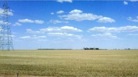 The site of the proposed Murra Warra wind farm.