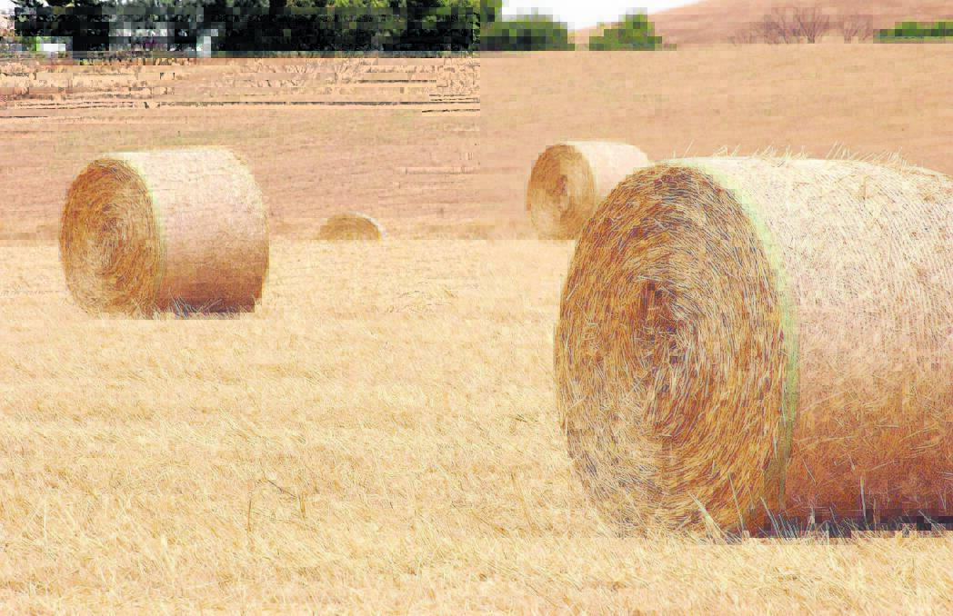 HIGH DEMAND: Feed Central managing director Tim Ford says hay sheds are empty on properties across the country. 