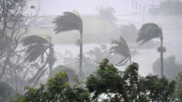 Cyclone Debbie has hit key growing areas around Bowen.  Photo: Dan Peled
