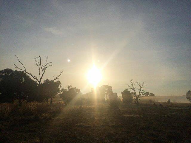 PIC OF THE DAY: Use the hashtag #wakeupWimmera on Instagram to have your pic included! Photo: @coraczoz, via Instagram - Gotta love crisp, misty autumn mornings