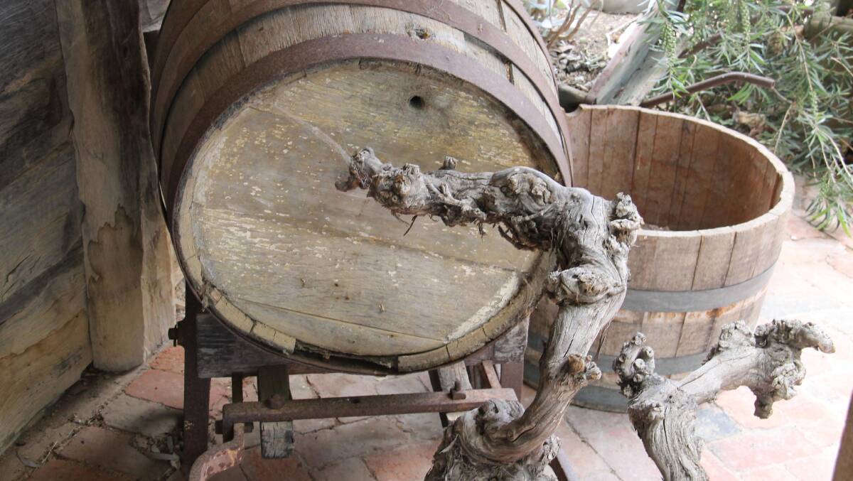 A couple of centurions … an old vine and an old barrel at Bests’ Great Western.