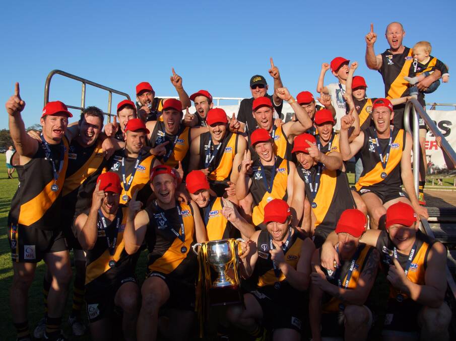 MOVING ON: 2015 Mallee Football League premiers Sea Lake-Nandaly Tigers will move to the North Central Football League in 2016 after the AFL Victoria Country appeals panel ruled the Tigers should be admitted to the league. Picture: CONTRIBUTED