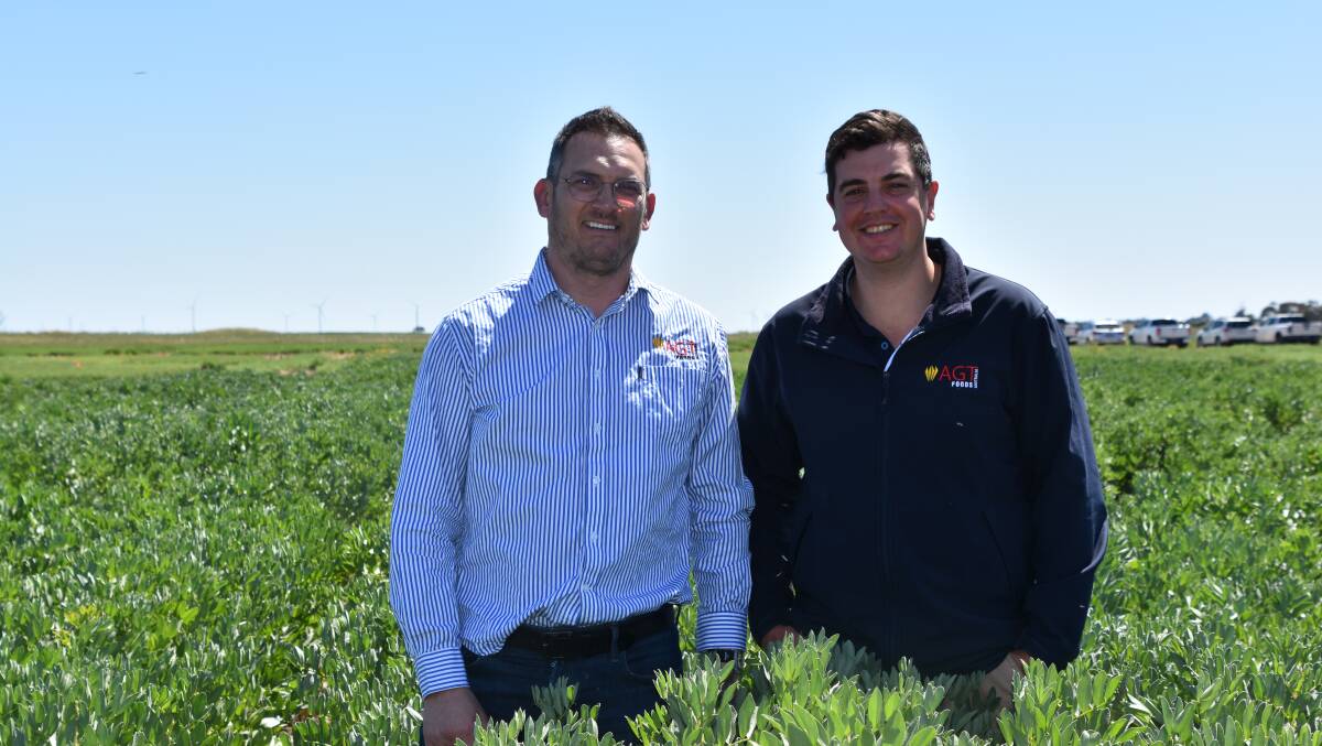 David Lever and Mitchell Elks, AGT Foods, at the Southern Pulse Agronomy field day near Horsham last month. Photo by Gregor Heard.