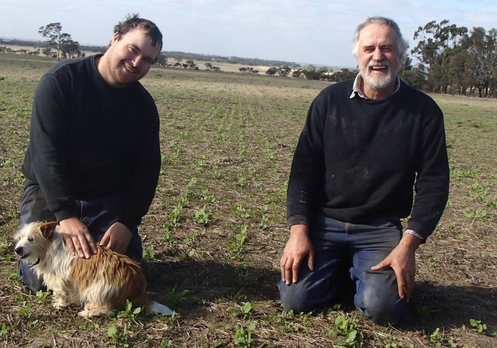 Adam and Greg Schwedes, together with trusty canine companion Kelly, survey the germination of their Bonito canola. 
