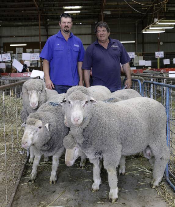 Luke Ellis, West Wail, with Ian Kyle of Sharp Fullgrabe Livestock, Bairnsdale, with some of the consignment of Dohnes Mr Kyle put together at the West Wail sale. 