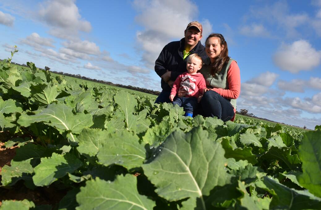 GOOD SEASON: David and De-Anne Ferrier, with 21-month-old son Sam, in their canola paddock that was sown on April 20. PIcture: JOELY MITCHELL