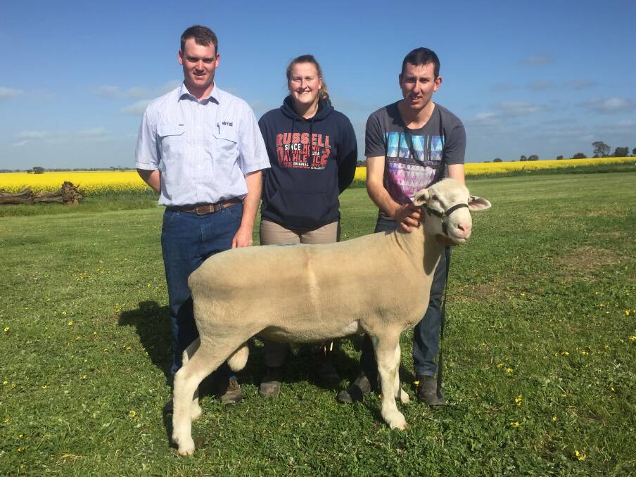 TOP SELLER: Brock Quick, of Driscoll, McIllree and Dickinson, with Ellie McDonald, Hopea White Suffolk stud, Dadswell’s Bridge and Damien Hawker.  