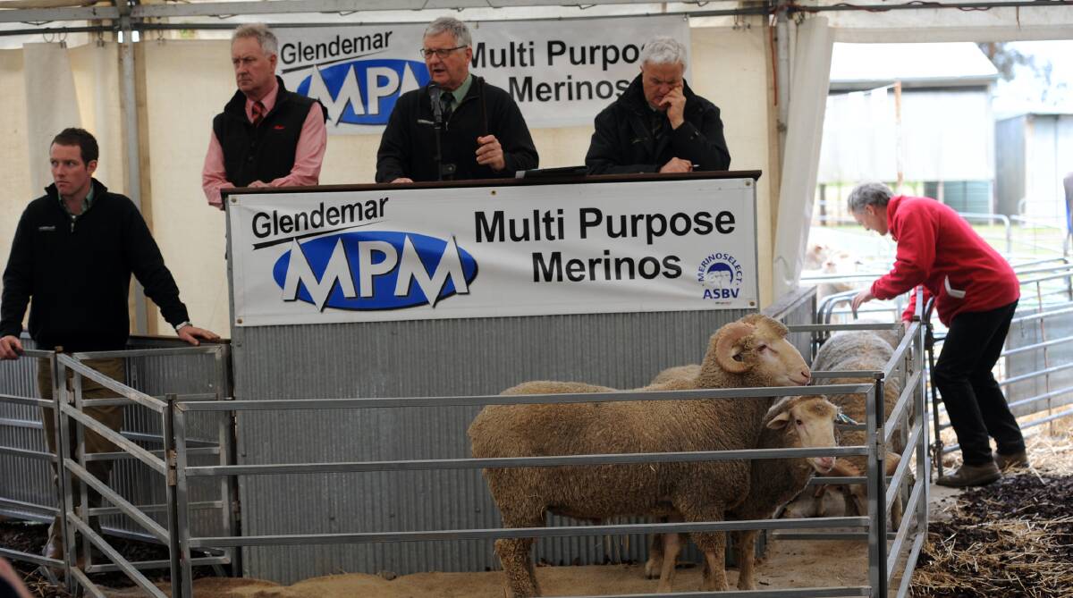 TOTAL CLEARANCE: Landmark's Mark Swanton, Andrew Sloane and Ray Attwell selling rams at Glendemar Merino stud at Marnoo. Picture: PAUL CARRACHER