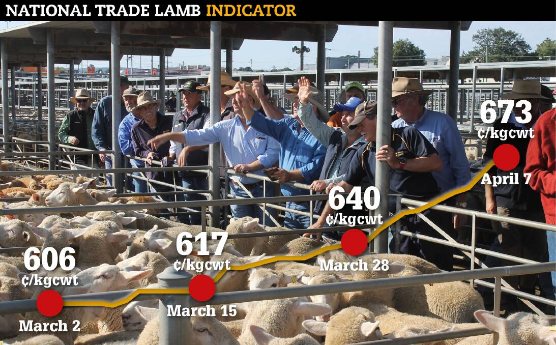 Unprecedented trade lamb prices have spiked a further 11 per cent in the past month, with supply shortages expected to take a blow to slaughter levels this year.