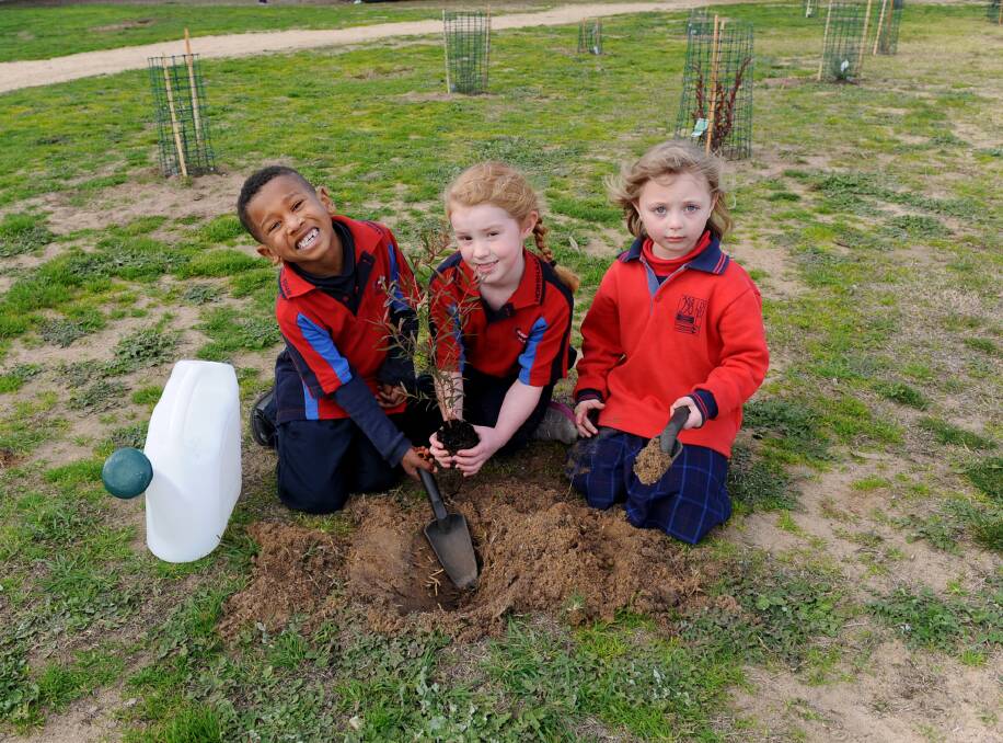 FROM LITTLE THINGS: Horsham Primary School's Joshua Micki-Junior, Emily Hutchinson and Holly Camilleri plant trees at the school. Picture: SAMANTHA CAMARRI