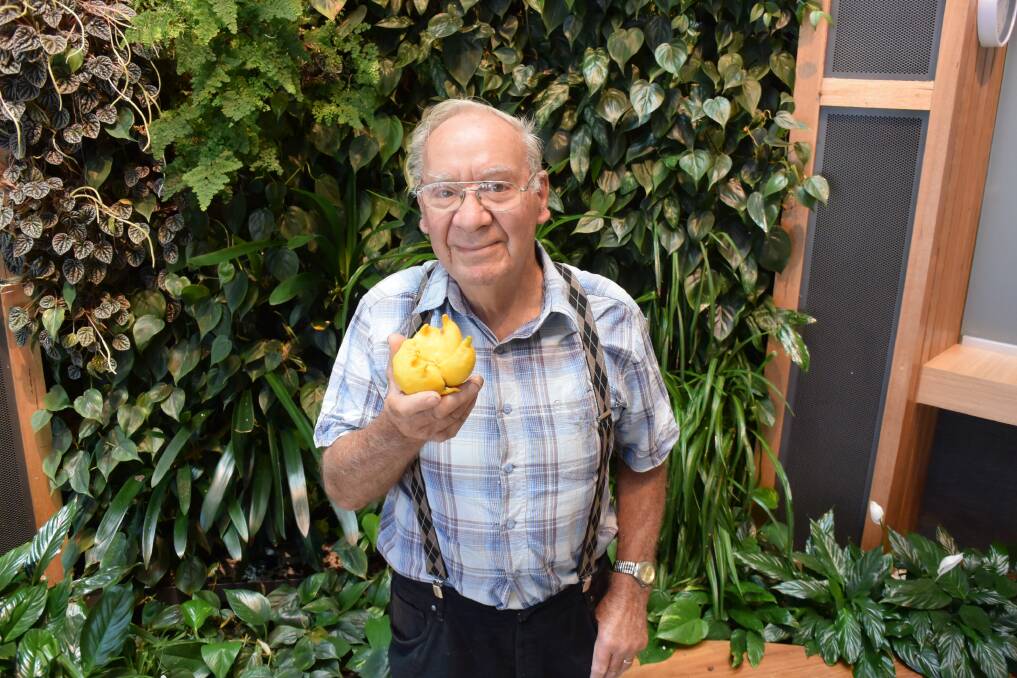 SOUR SURPRISE: Horsham's Ian Mackley discovered a funny looking lemon this month. Picture: STEPHANIE AZZOPARDI