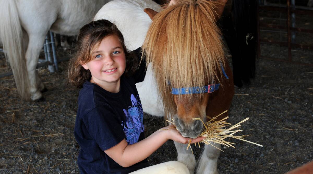 FAMILY FUN: Jeparit's Georgia Hutson, 8, with Patch the pony at the 2015 Jeparit Show. The 2016 show is on Sunday. Picture: SAMANTHA CAMARRI