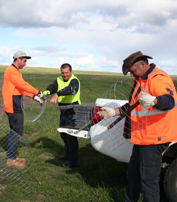 PROTECTION: Members of the Mallee Catchment Management Authority’s drought employment program install tree guards at Lake Albacutya. Picture: CONTRIBUTED