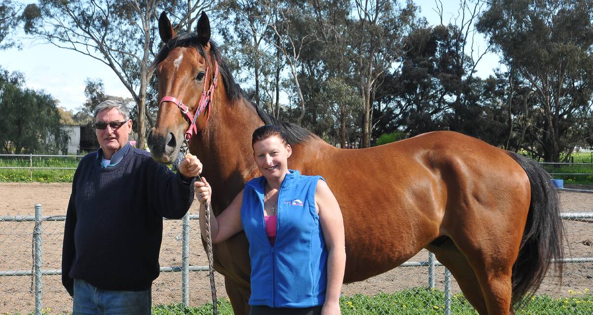 Big things: Father-daughter training duo Terry and Karina O'Sullivan prepare Dandy Gent for the Bart Cummings 2500m event on Sunday. Picture: GRACE BIBBY