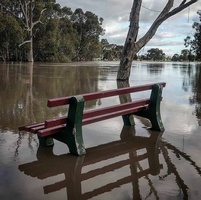 PIC OF THE DAY: Tag us in your photos of the Wimmera on Instagram @wimmeramailtimes and use the hashtag #wakeupWimmera or email cass.dalgleish@fairfaxmedia.com.au to have your pic included! Photo: @realtimbarnett, via Instagram - #WimmeraFlood2016 in full swing! #WakeUpWimmera #HorshamWeir #flooding