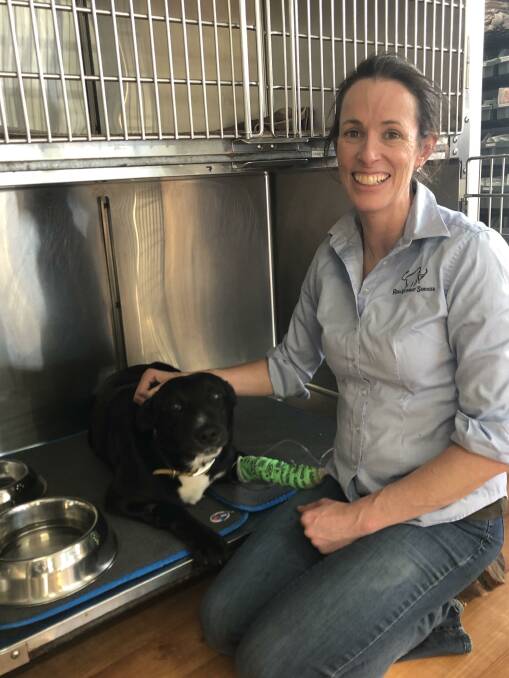 VET-TING OF TRAVELERS: Veterinarian Dr Claire Law, of Hynam, expects South Australia's bans on non-essential travel to and from Victoria to continue beyond the proposed July 20 end date. Picture: CONTRIBUTED