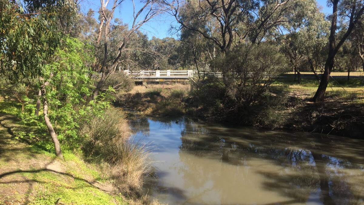 THE CRUX: One of the three Williams Road bridges that crosses Burnt Creek, as seen from the Latus family property.