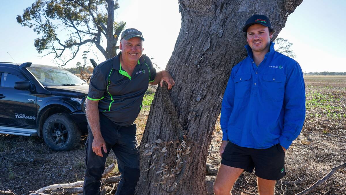 Steve and Ben Pilgrim, Nhill, are calling on their local council to allow roadside burns to help control white snail population. Picture by Rachel Simmonds