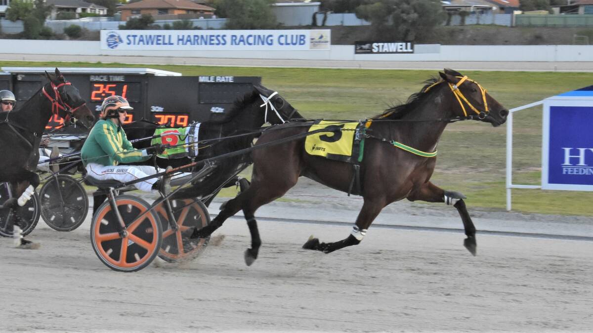 WINNER: Driver Jackie Barker sits quietly as "airborne" trotter Double Helix strides to victory at Stawell on Anzac Day. Picture: Claire Weston Photography