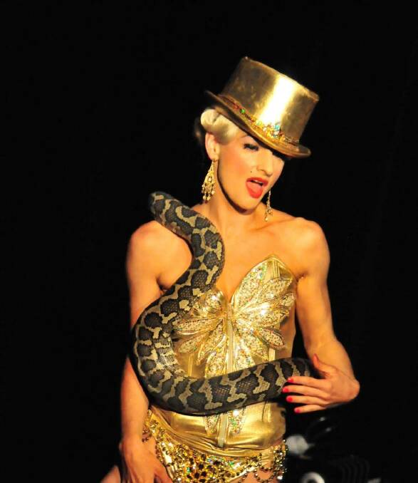 Snake charmer: Flavella L’Amour is Australia’s foremost snake charmer and serpent dancer, and is performing in Ballarat.