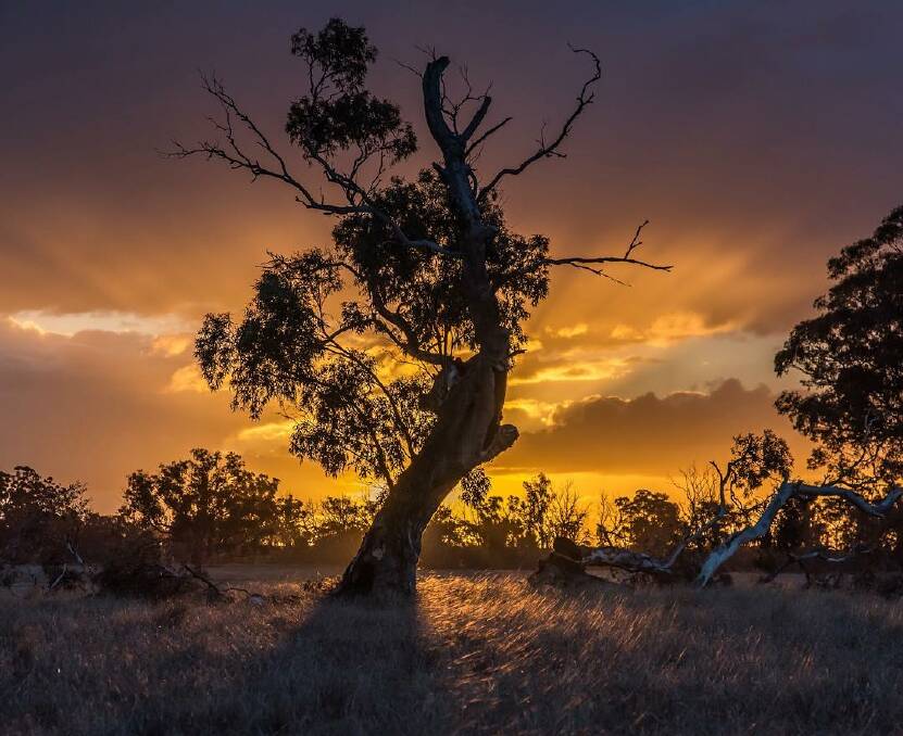 Share your Wimmera photos and they could be featured!
