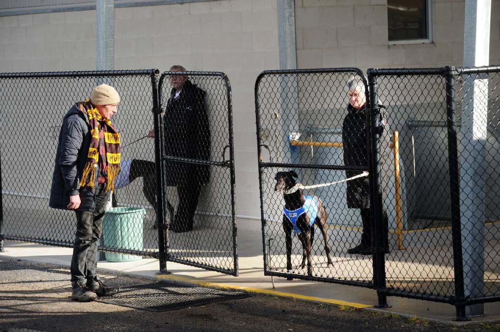 Conrad Winfield chats with Judy O'Neil with Vectis Seyarda at Horsham greyhound races. Picture: Paul Carracher