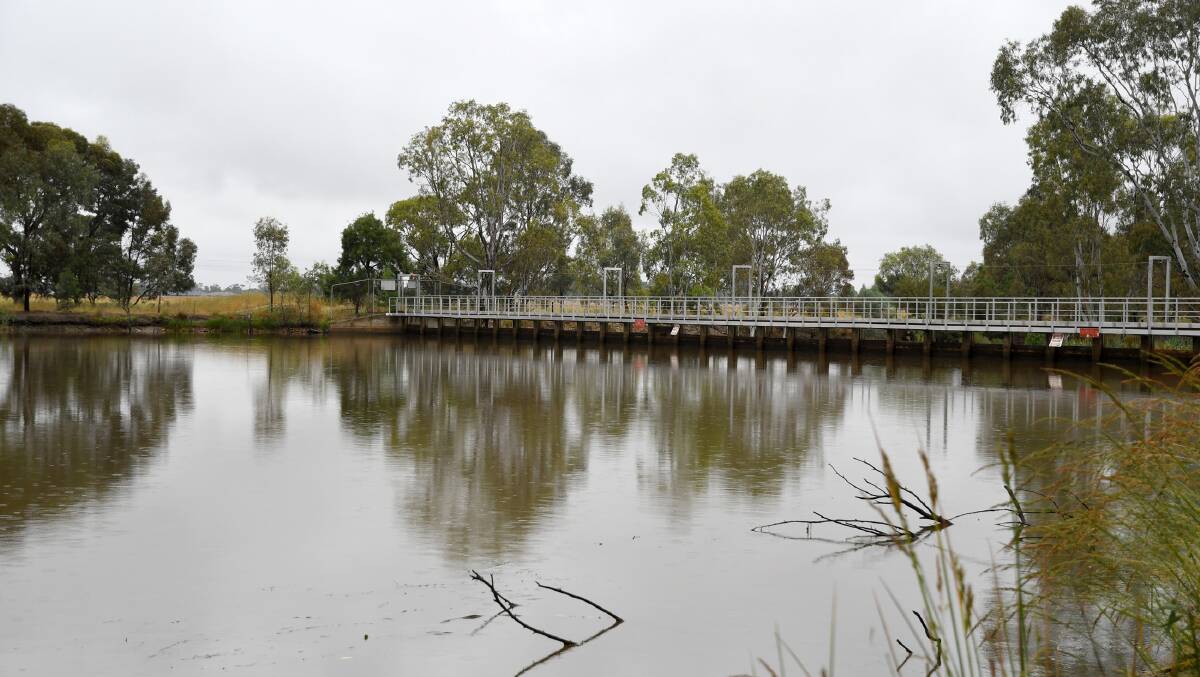 The Wimmera River in Horsham on Friday. Picture: SAMANTHA CAMARRI