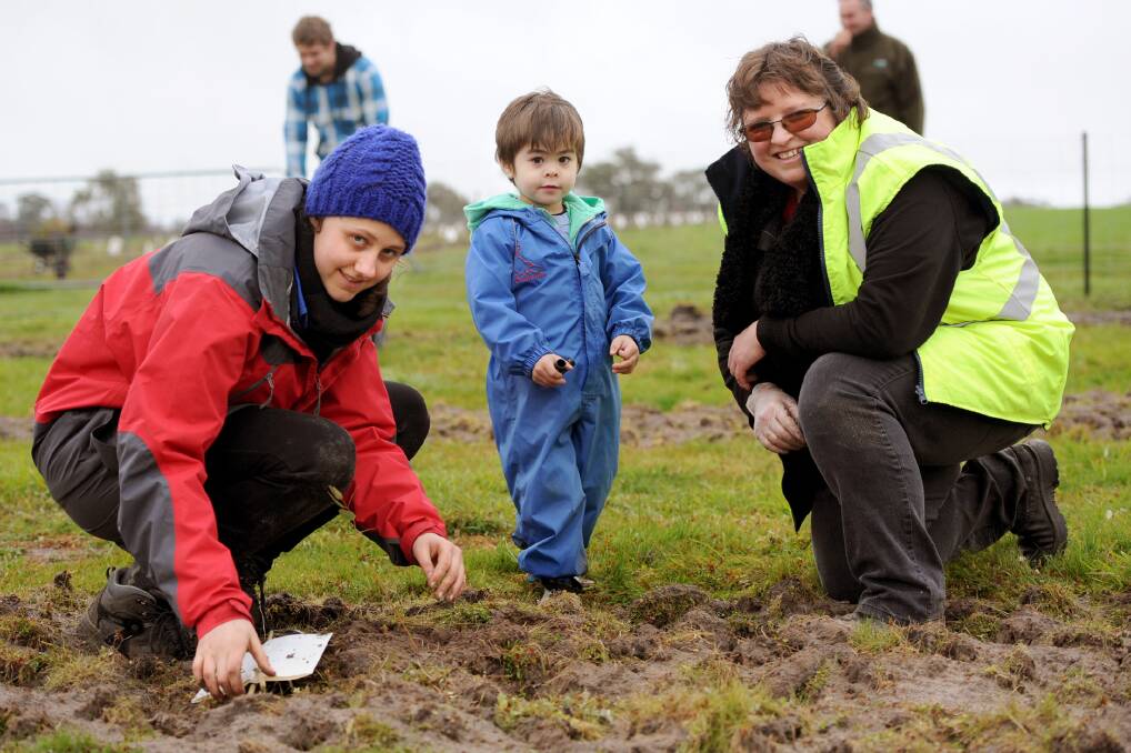 Landcare facilitator Wendy McInnes, right, plants trees with students at a Wartook farm in 2014. Picture: SAMANTHA CAMARRI