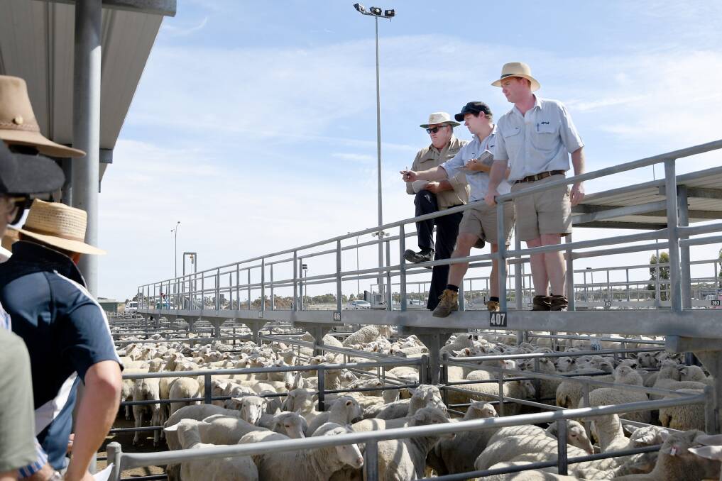 SALE: Horsham Regional Livestock Exchange manager Paul Christopher with Nev Routley and Brock Quick from Driscoll, McIllree and Dickinson Horsham at a sheep sale this month. Picture: SAMANTHA CAMARRI