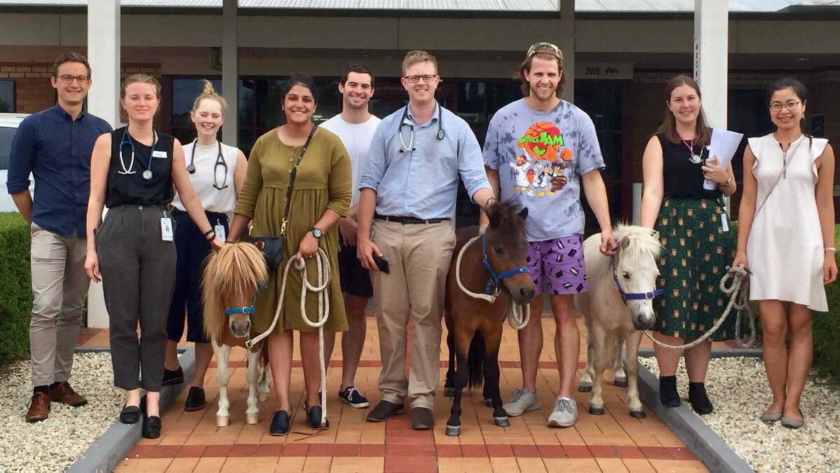 NEW EXPERIENCE: Wimmera Health Care Group interns get to know some miniature horses during their placement. Picture: CONTRIBUTED