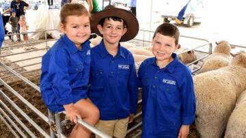 Pimpinio siblings Jayla, 3, Jordy, 9, and Milton, 7, Ellis, Westwail Dohne Merino and White Suffolk Stud, at the Wimmera Machinery Field Days. 