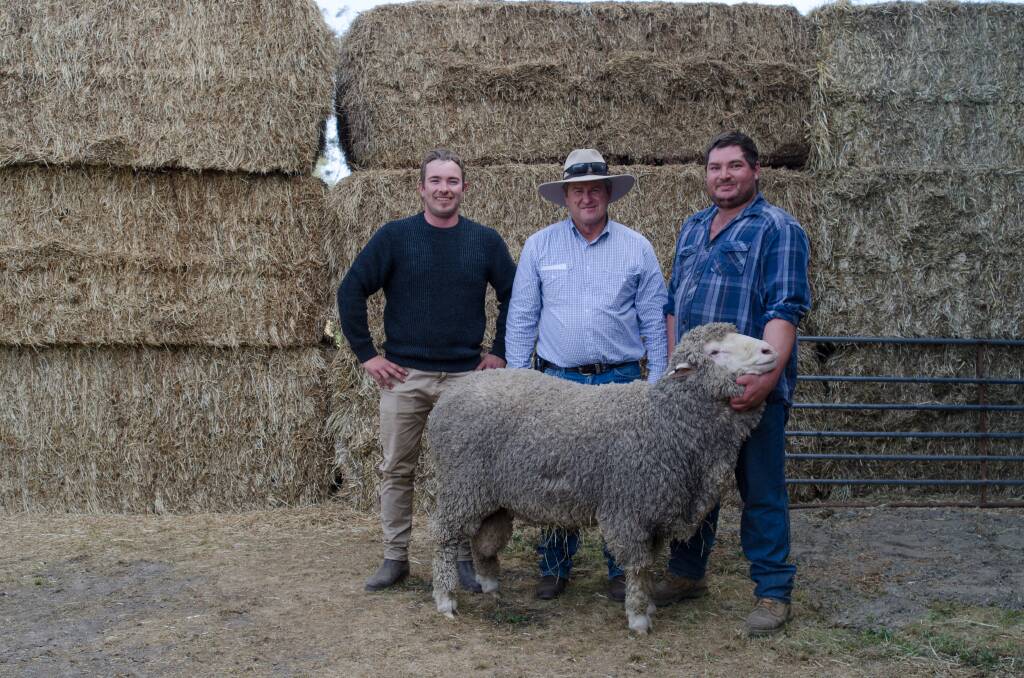 TOP RAM: Russell Hodder and Jason Hodder, Old Dundee Merino stud, Marnoo, with top-priced buyer Kevin Hynam, Hynam Poll Merinos, Longwood (centre).