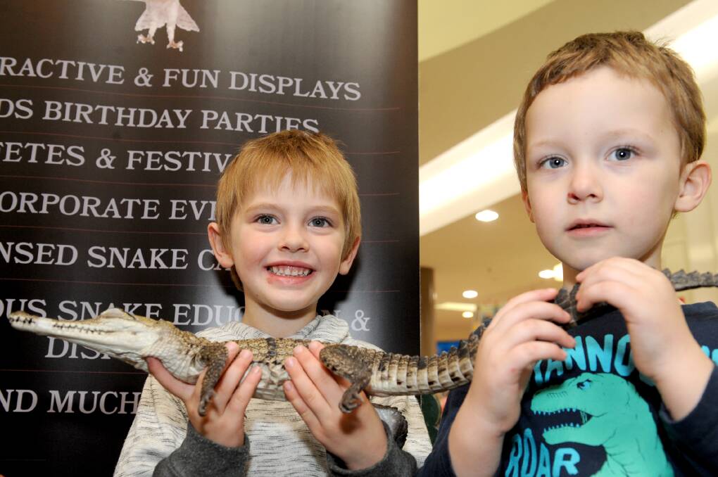 MAKING FRIENDS: Ryan Dunn, 3, and Kayden Holland,4, of Horsham met Boris the freshwater crocodile at the TZR Reptiles and Wildlife stand at Horsham Plaza this week. Picture: OLIVIA PAGE