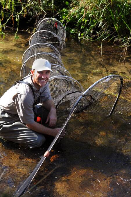 Wildlife ecologist Josh Griffiths completes a platypus population study in the Mackenzie Creek in 2015. 