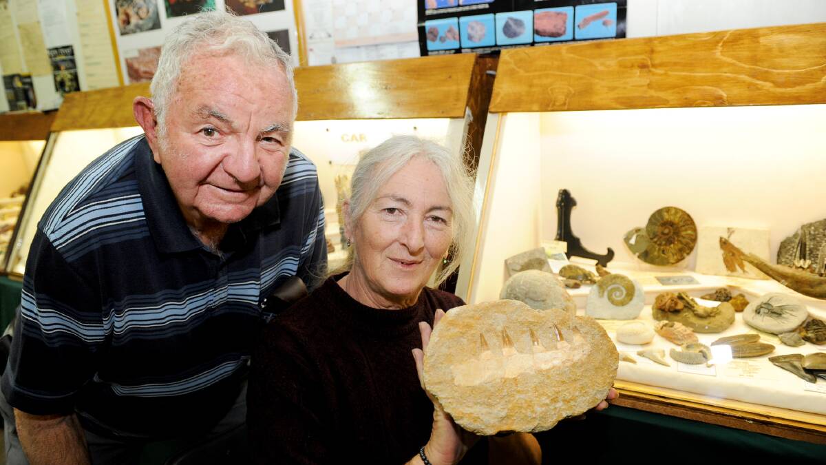 GEMS GALORE: Horsham and District Lapidary Club members Toby Decker and Gail Kneller get ready for the club's 18th annual show this weekend. Picture: SAMANTHA CAMARRI