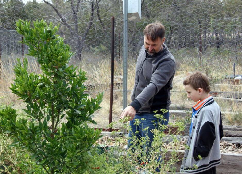 INFORMATIVE: Geoff and William McDermott at the Stawell community garden which thrives on populations of honey bees. 