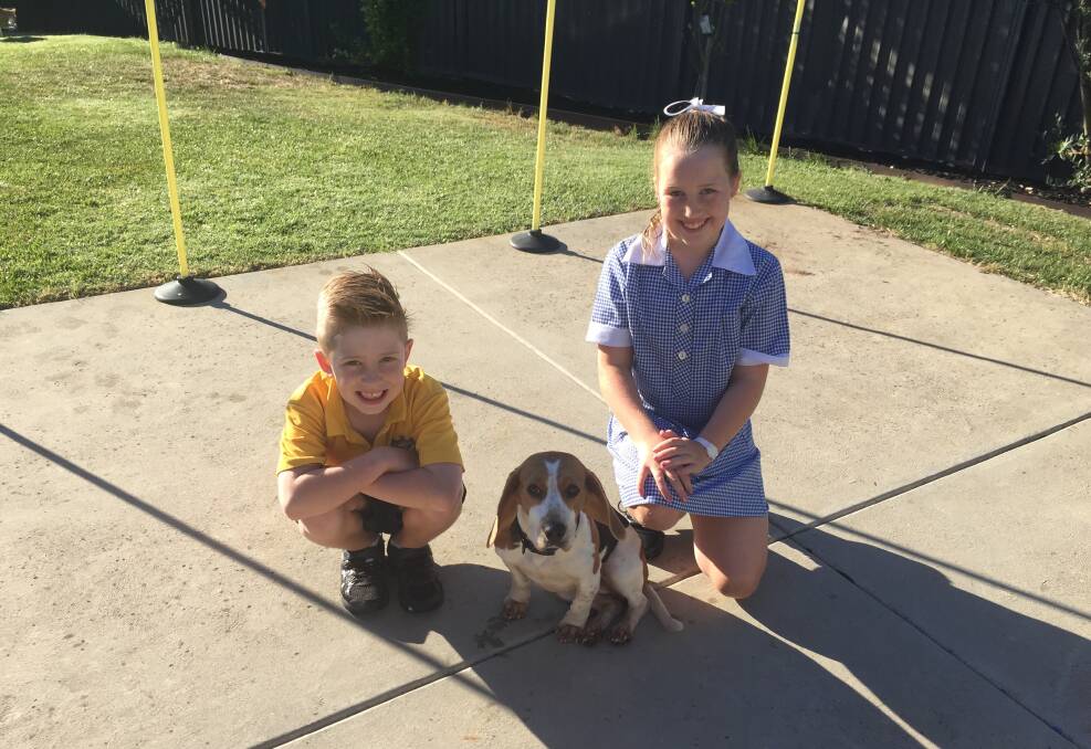 NEW ADDITION: Liam and Emerson O'Gorman cannot stop smiling since the arrival of their new pet, Bailey, who was found wandering aimlessly around a Halls Gap lookout.