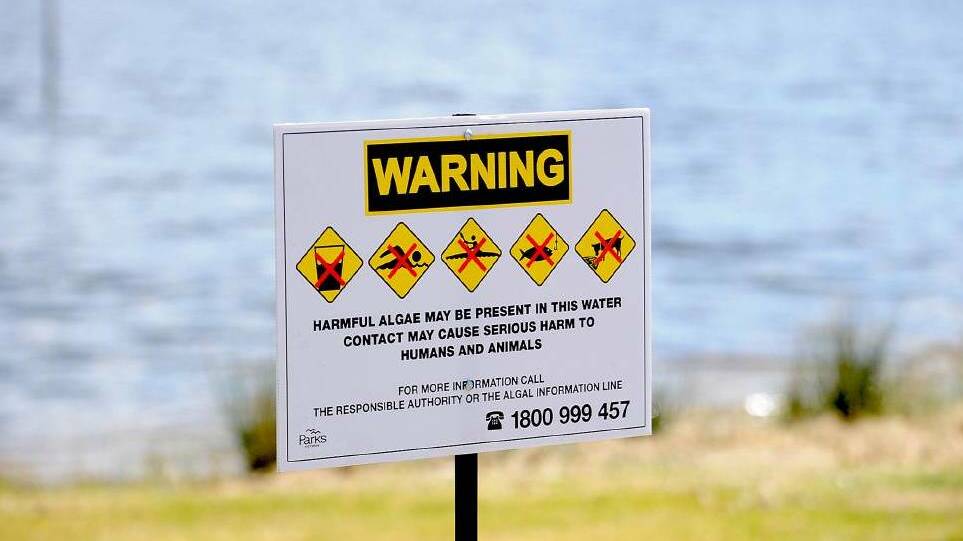 NO ACCESS: Residents and visitors are being urged to avoid contact with water at Walkers Lake near St Arnaud. Picture: PETER PICKERING