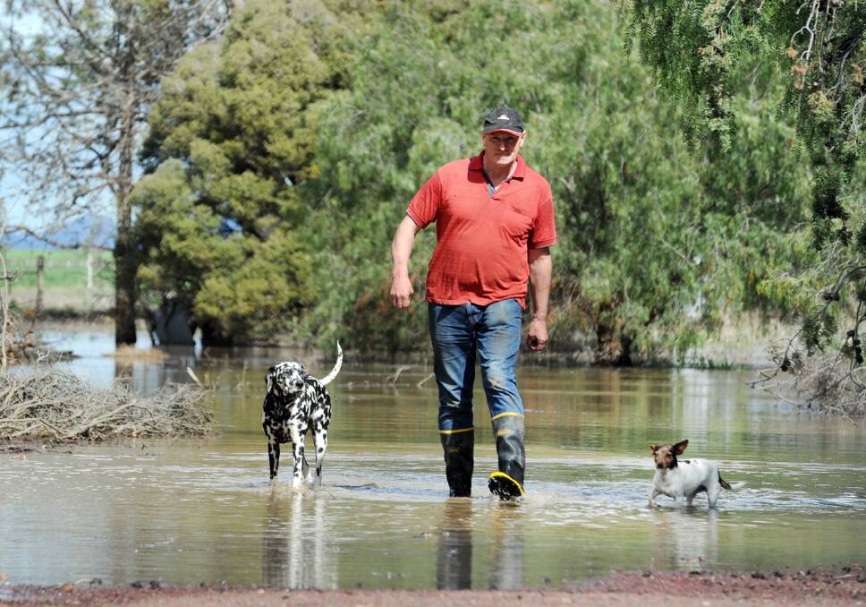 David Fischer and his dogs Lucy and Polly survey water in David's back yard at Gross Bridge. Picture: PAUL CARRACHER