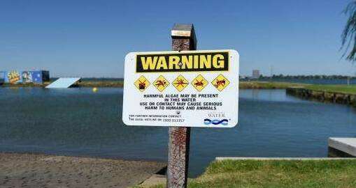 Blue green algae warning for Wooroonook Lakes