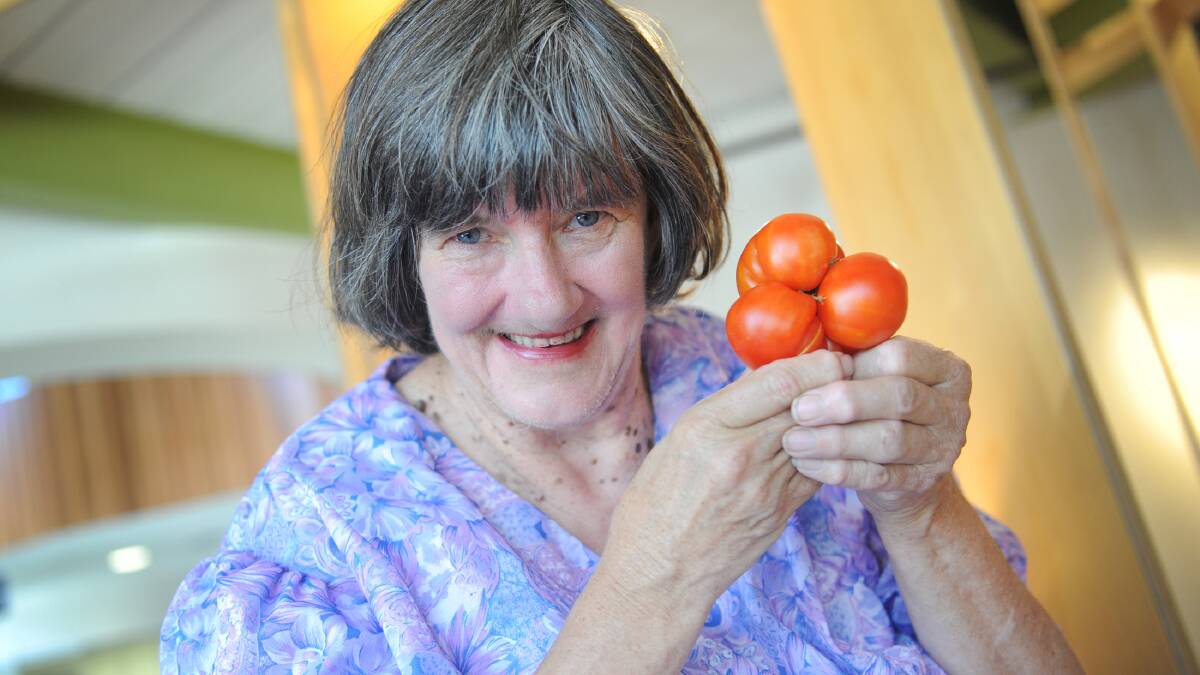 Horsham resident Carmel Mackin, who has ended up with a double tomato from her first attempt at growing tomatoes at home. Picture: AYESHA SEDGMAN